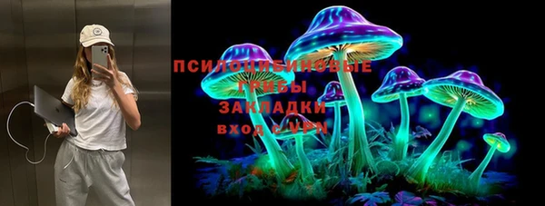 твердый Абаза