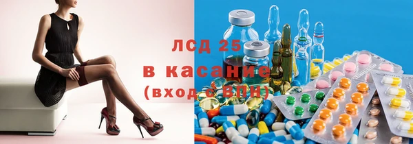 твердый Абаза