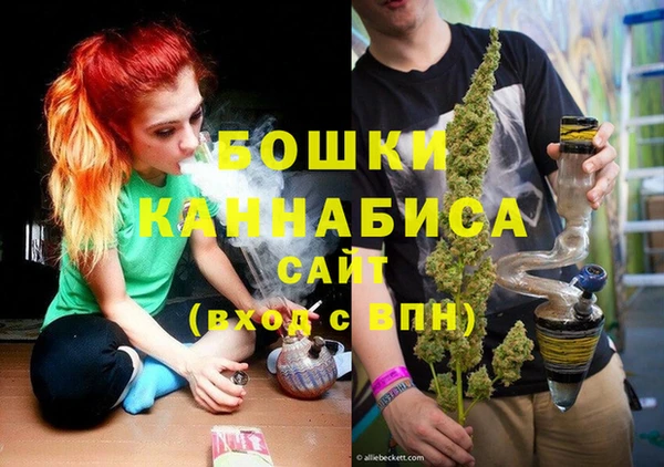 твердый Абаза