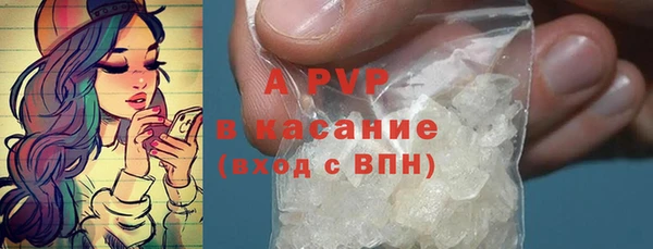 твердый Абаза